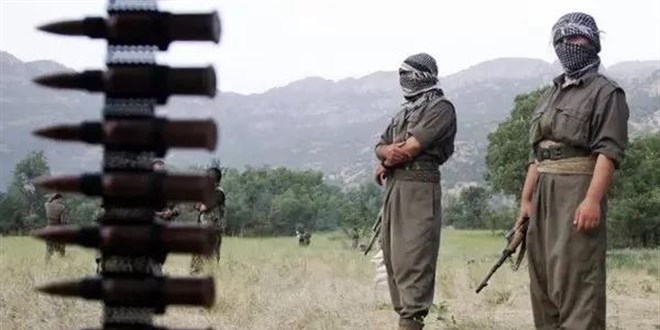 Terörsüz Türkiye için tasfiye nasıl olacak?