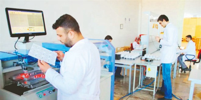 KOBİ'ler Dijital Dönüşüm ve Yeşil Mutabakatla Büyüyor