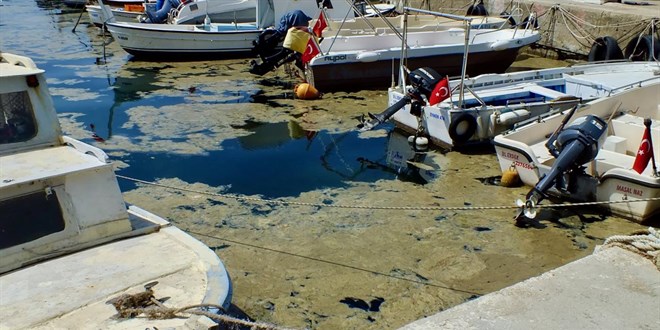 Murat Kurum'dan Marmara'daki Müsilaj Tehlikesine Uyarı