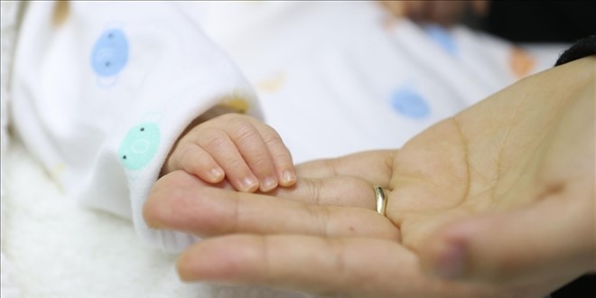 TÜİK Açıkladı: 2024'te Doğum Oranlarında Rekor Düşüş!