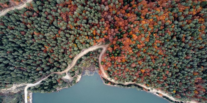 Bilecik'te ormanlık alanlara girişler 5 ay süreyle yasaklandı