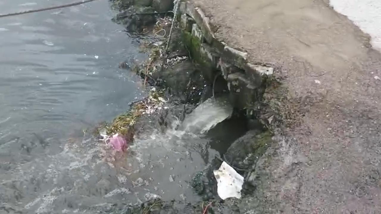 Çınarcık Belediyesi'ne Marmara Denizi Kirliliği Cezası