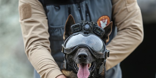 Mehmetçiğin 'keskin burunları': 2 yıl boyunca 8 farklı eğitimden geçiyorlar