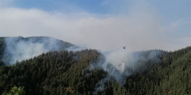 Kahramanmaraş'ta çıkan orman yangını kontrol altına alındı
