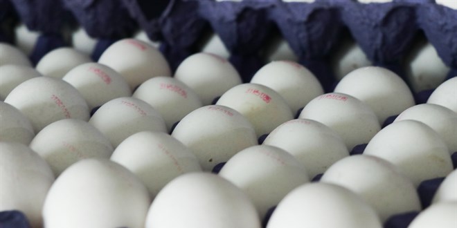 YUM-BİR'den Marketlere Eleştiri: Zamda Hızlı, İndirimde Yavaşlar