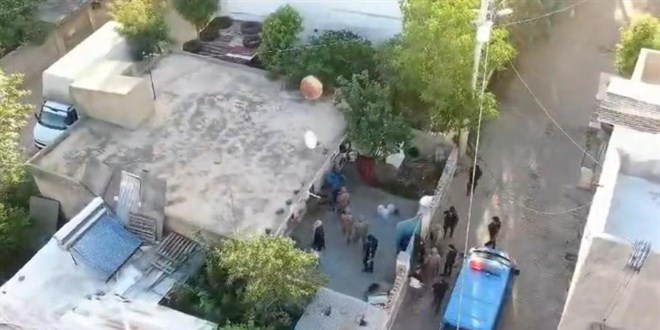 Jandarmanın 'Daltonlar' çetesi operasyonunda 3 tutuklama