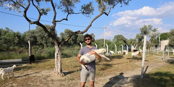 İki üniversite mezunu doktoralı çoban: 'Hobi olarak başlamıştık, işlerimiz büyüdü'