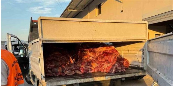 Adana'da 3 ton bozulmuş at eti ele geçirildi