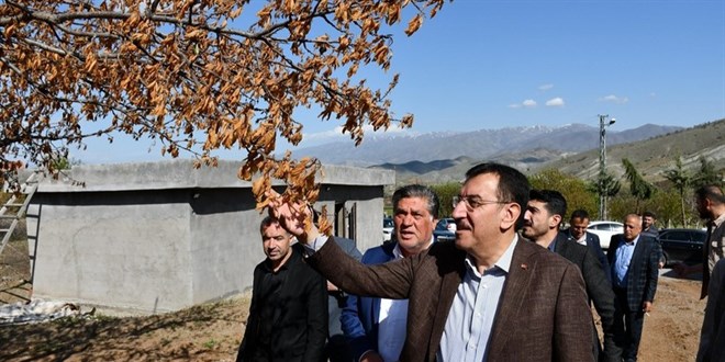 Zirai Don Destek Ödemeleri Kurban Bayramı Sonrası Başlayacak