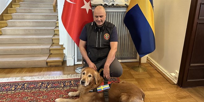 Kahramanmaraş Depreminin Kahramanı Köpek Killian Vefat Etti