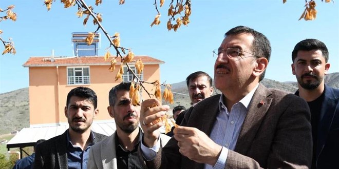 'Zirai Don' Destek Ödemelerinde Şartlar Belli Oldu