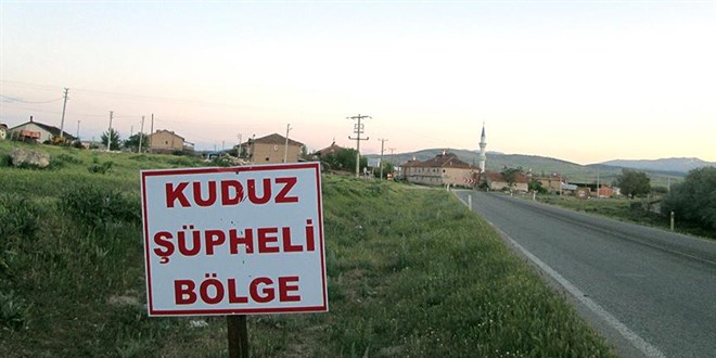 Hatay'da 4 mahalle kuduz nedeniyle karantinaya alındı